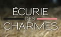 L’écurie des charmes : Élevage de chevaux